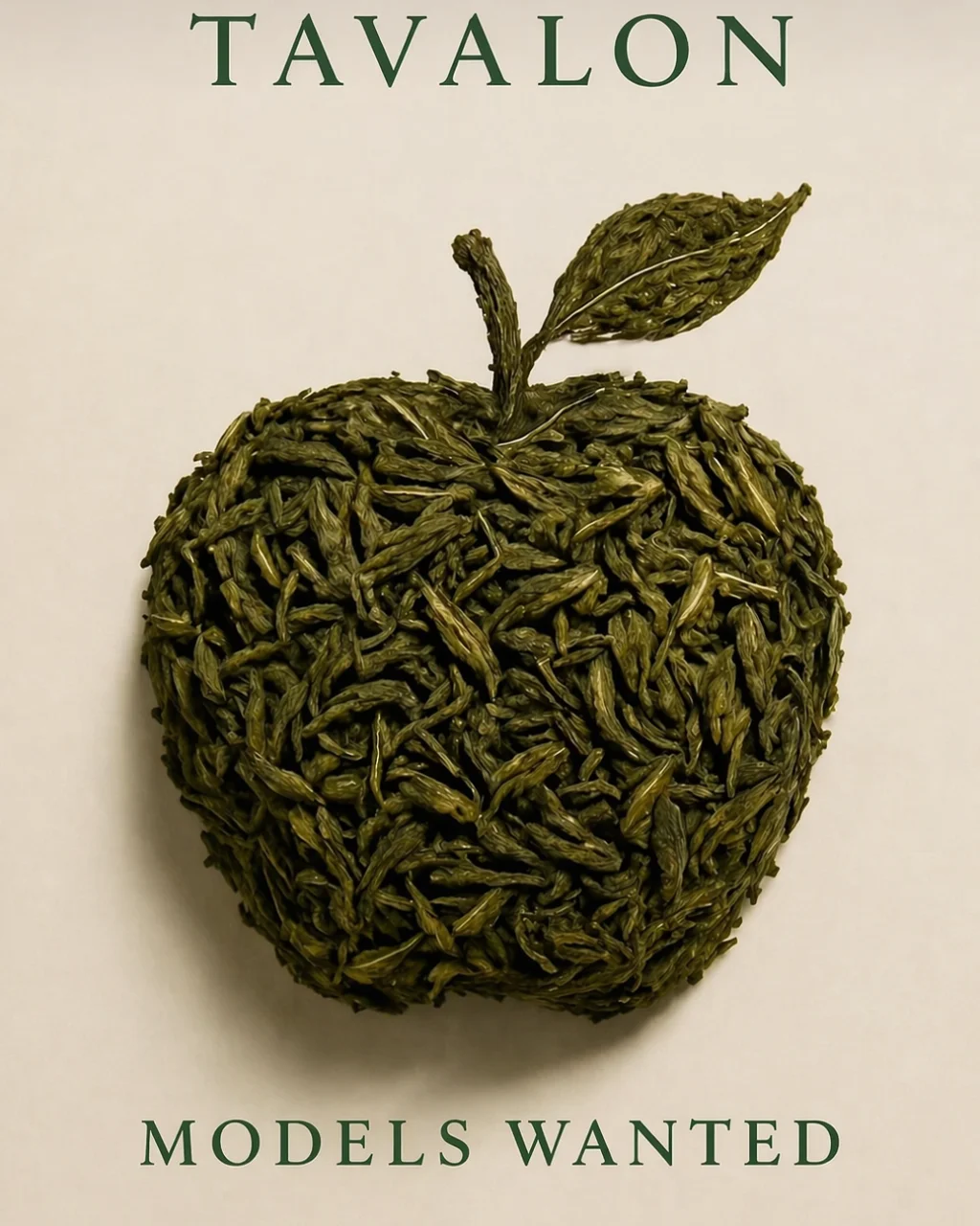 Tavalon Tea Brand Model