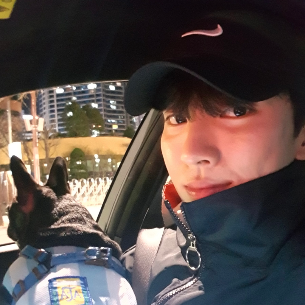 이미지 6