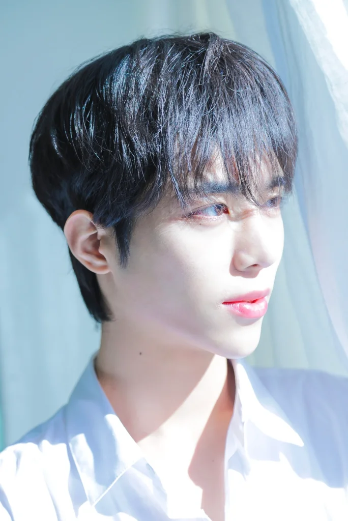 이미지 7