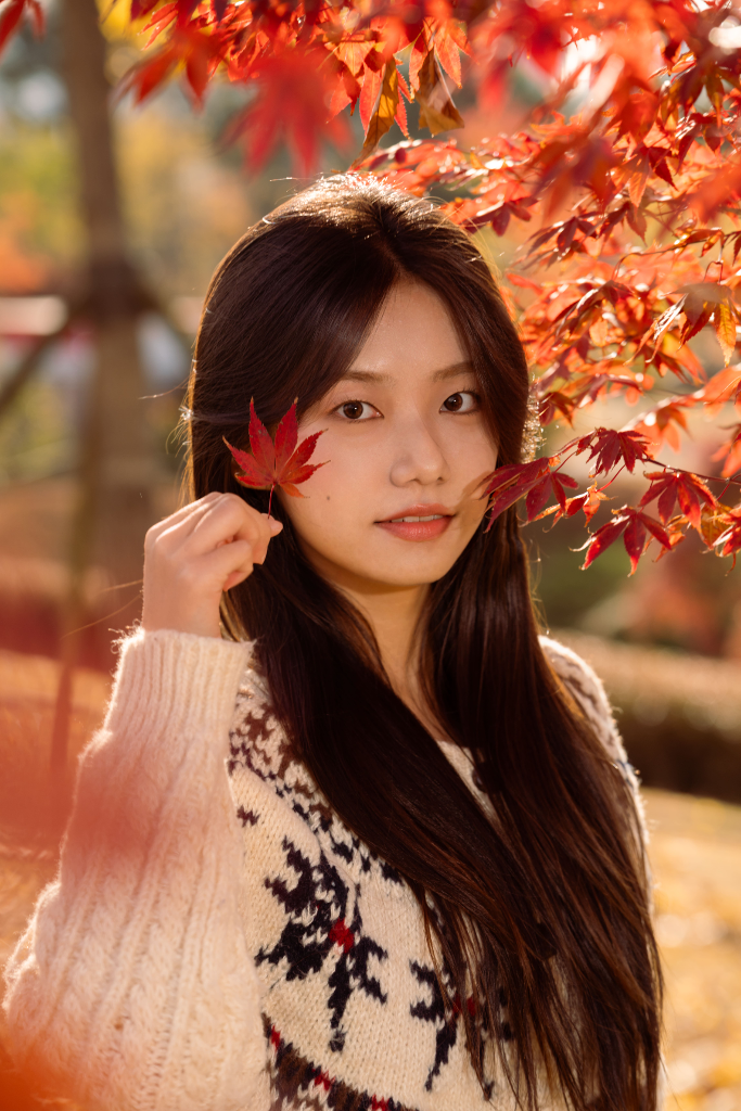 이미지 4