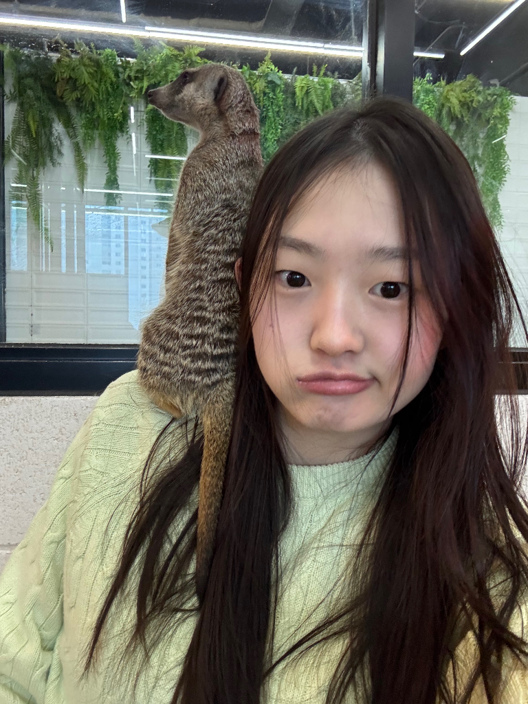 이미지 4