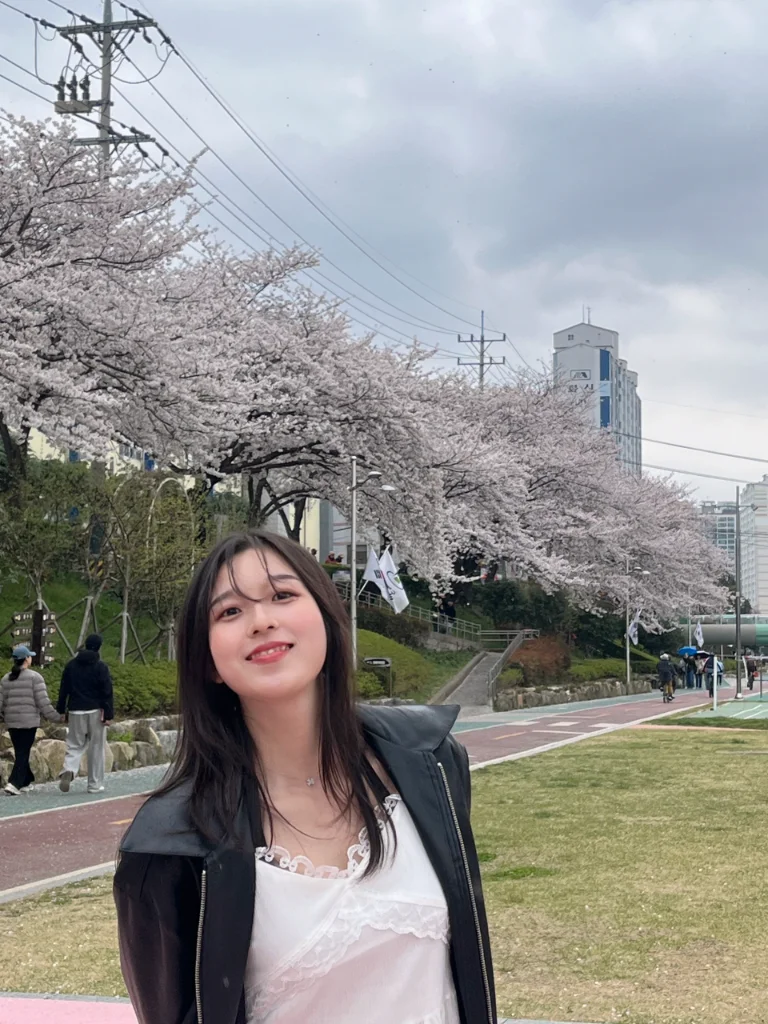 이미지 4