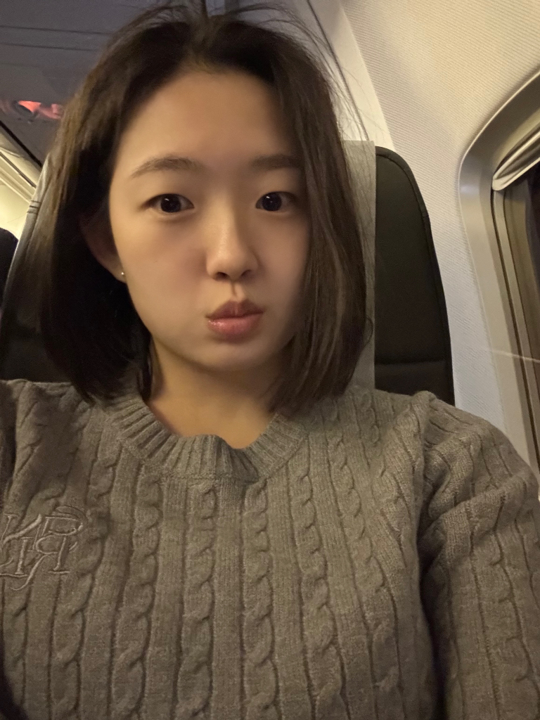 이미지 5