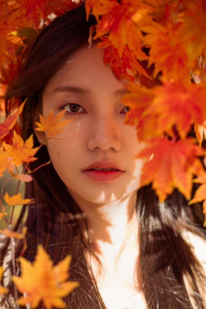 이미지 5