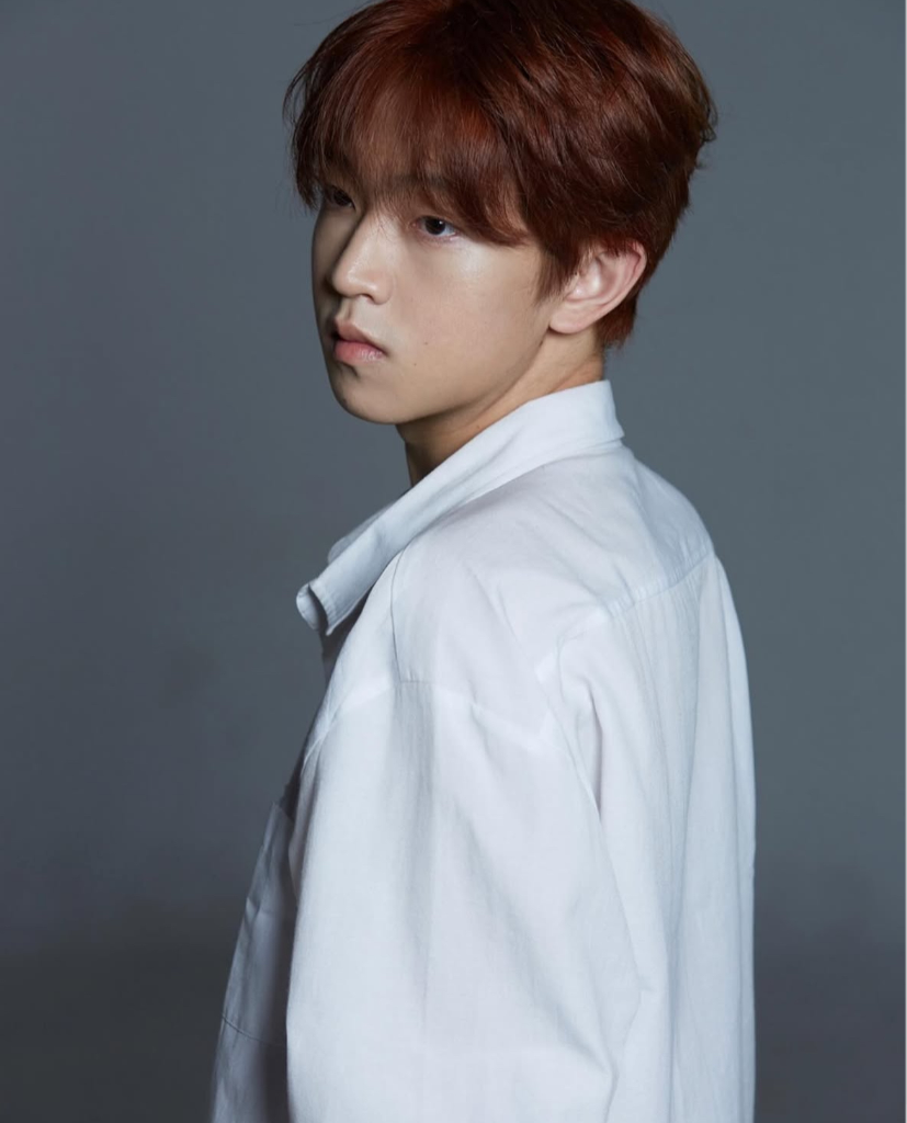 이미지 2