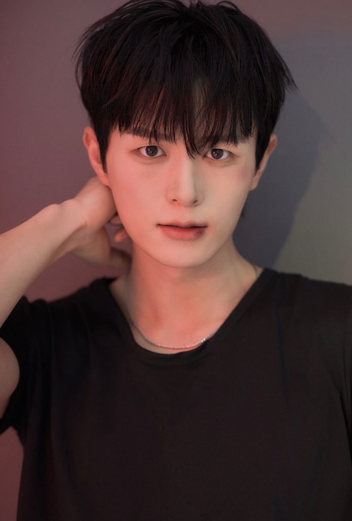 이미지 6