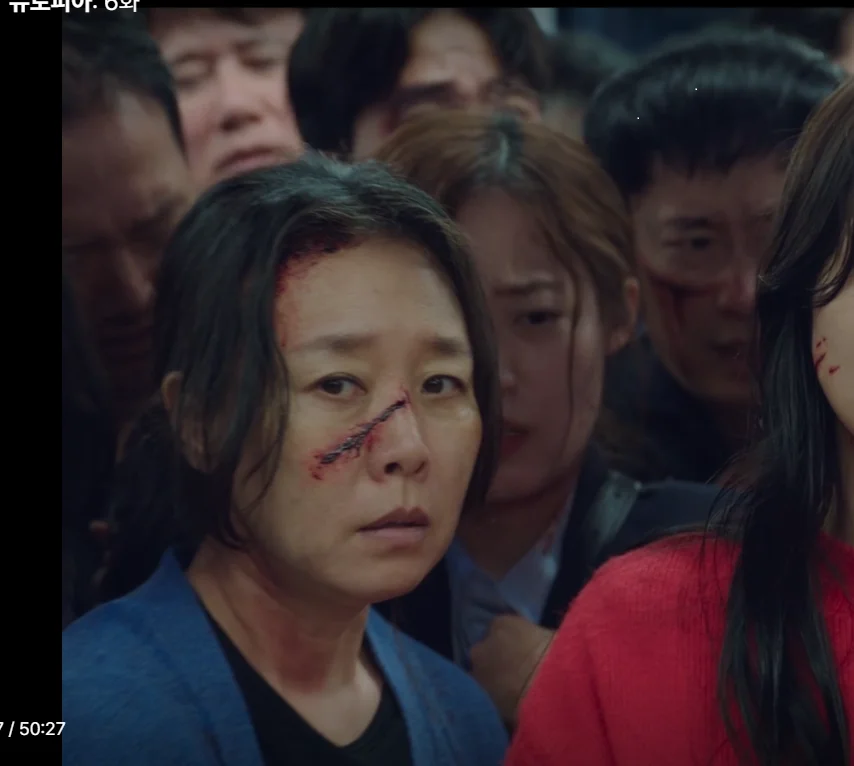 이미지 20
