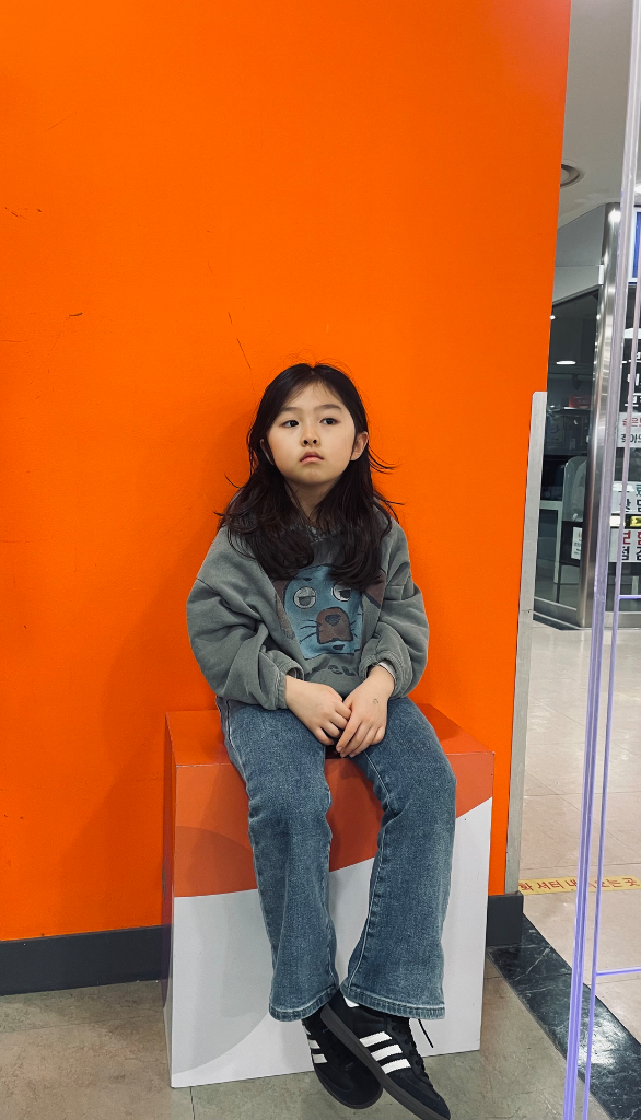 이미지 17