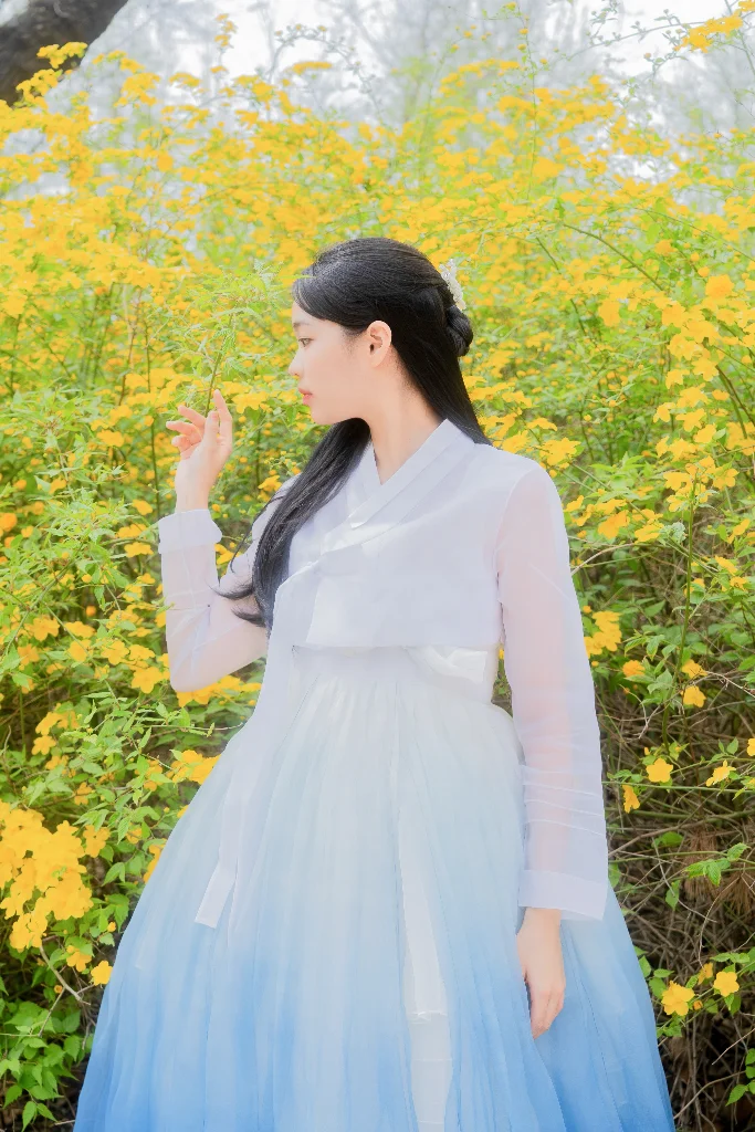 이미지 5