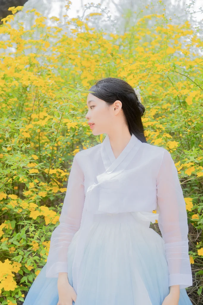 이미지 6