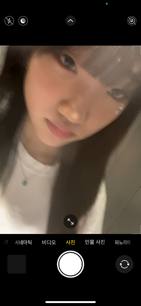 이미지 5