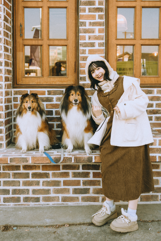 이미지 7