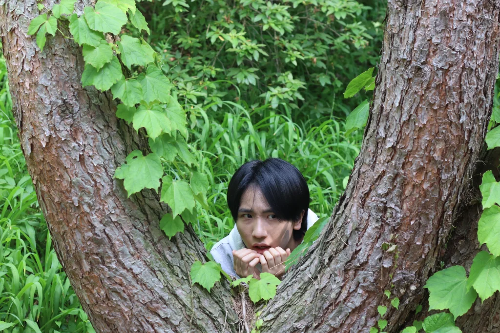 이미지 13