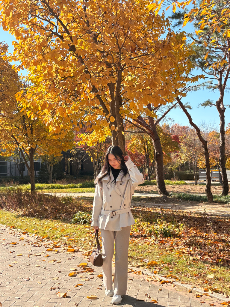 이미지 2