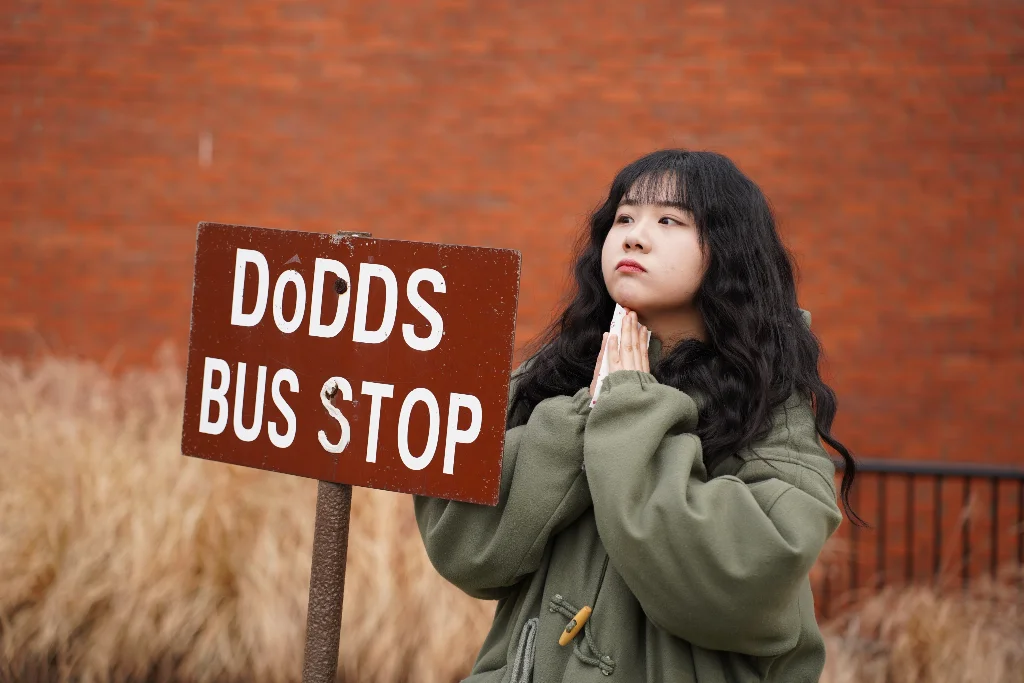 이미지 10