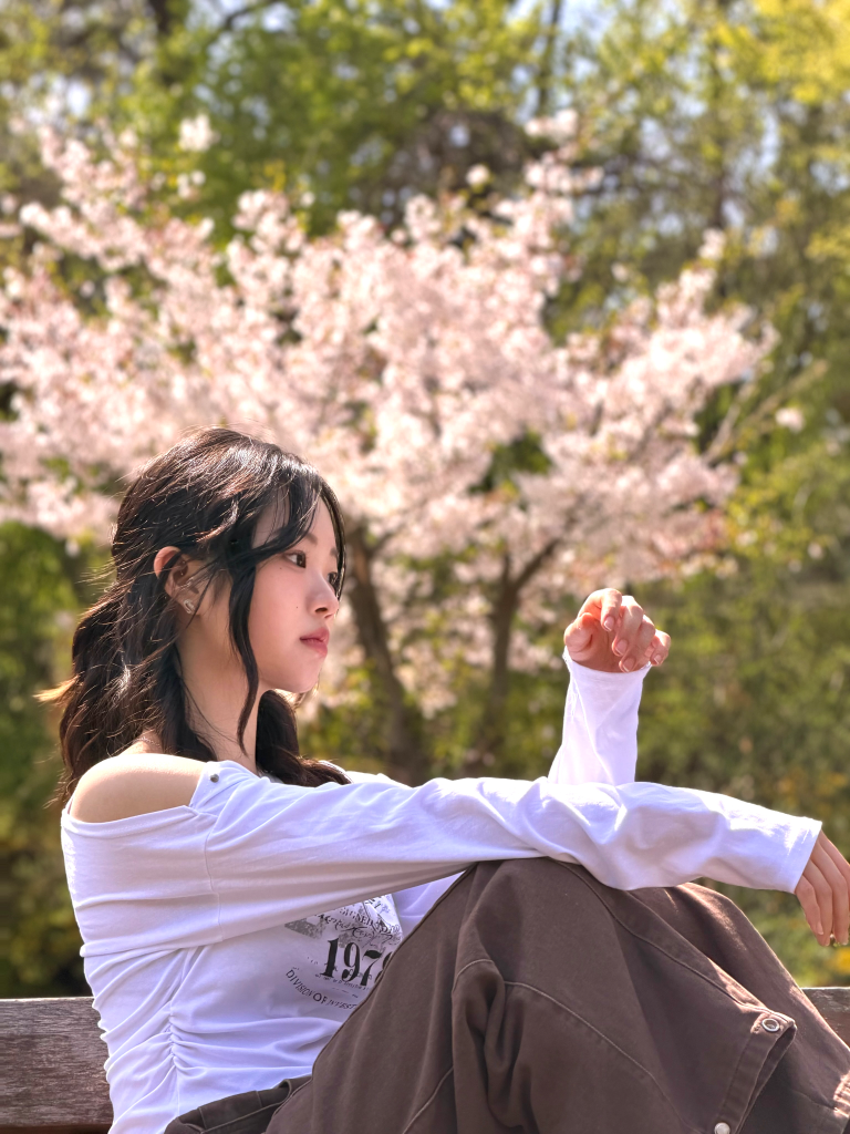 이미지 3