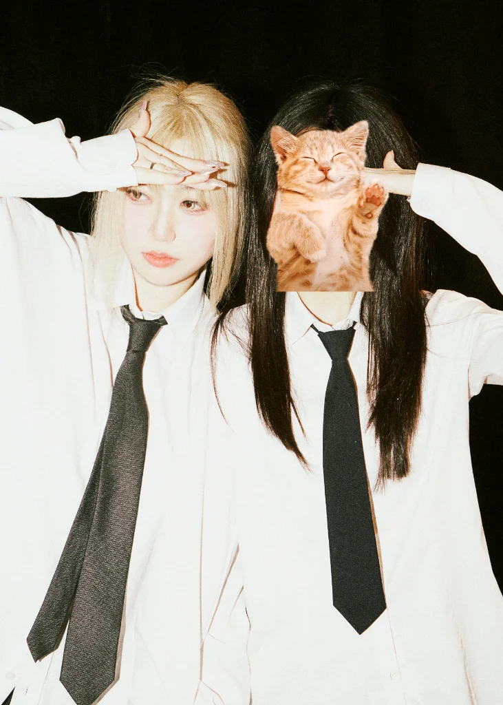 이미지 4