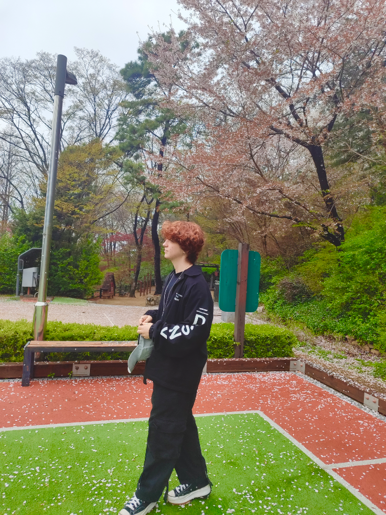 이미지 10