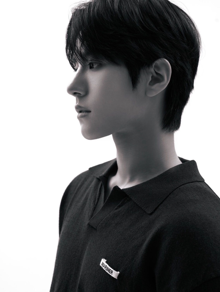 이미지 5