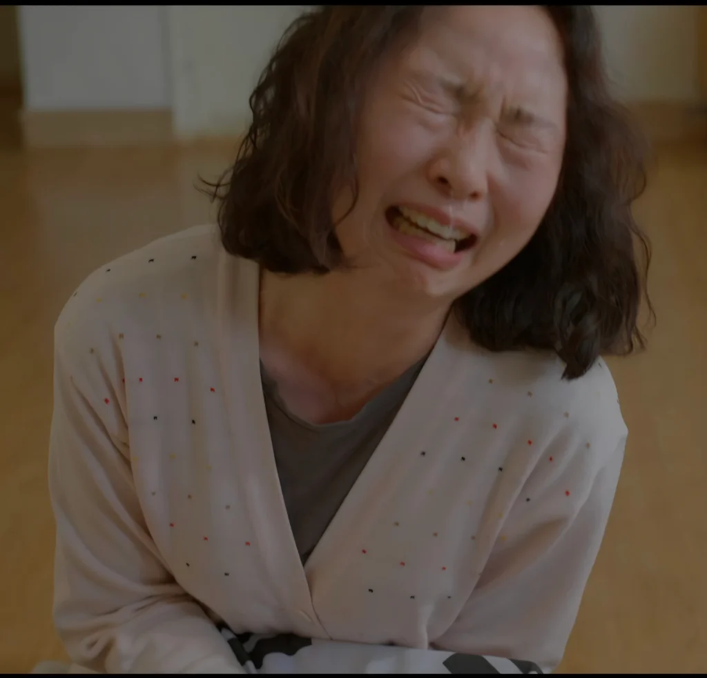이미지 5