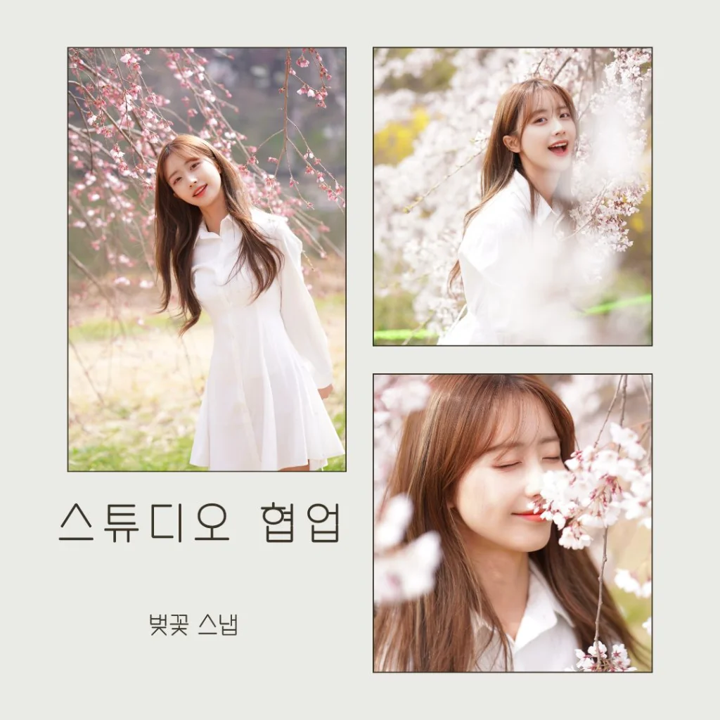 이미지 8
