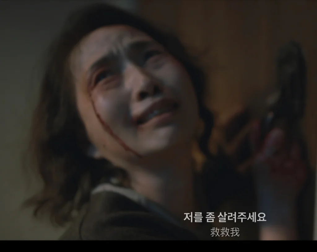 이미지 4