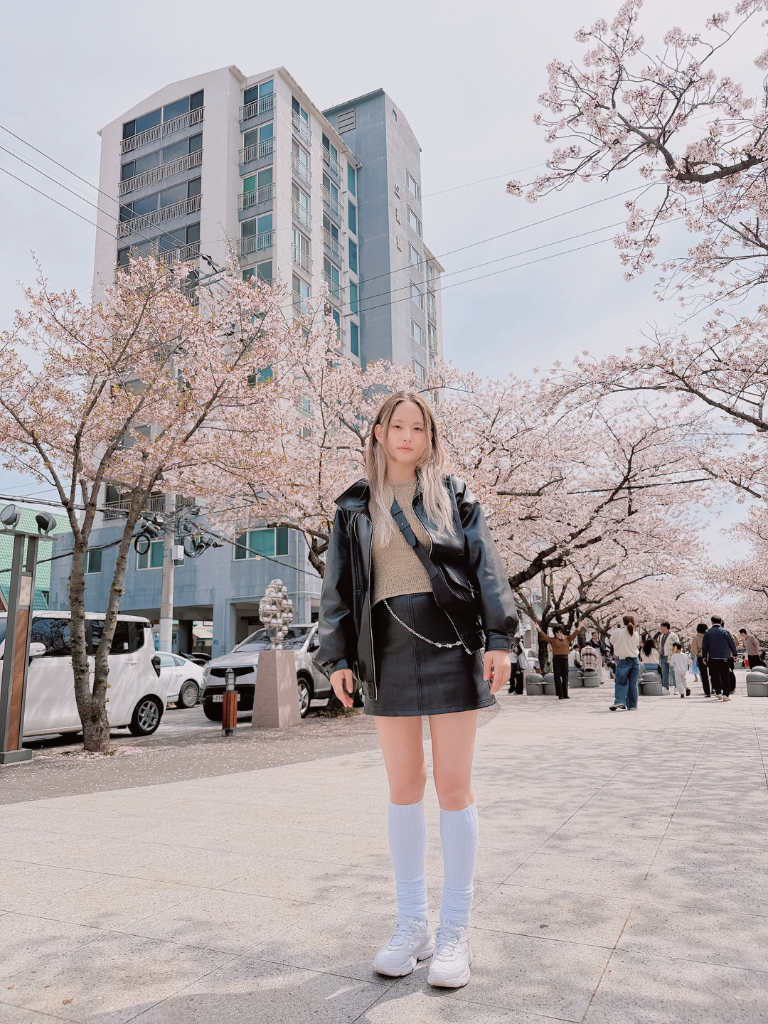 이미지 5