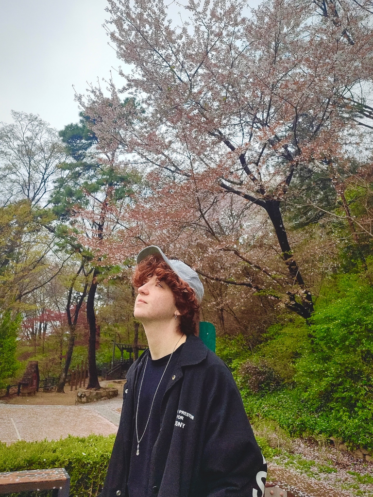 이미지 5