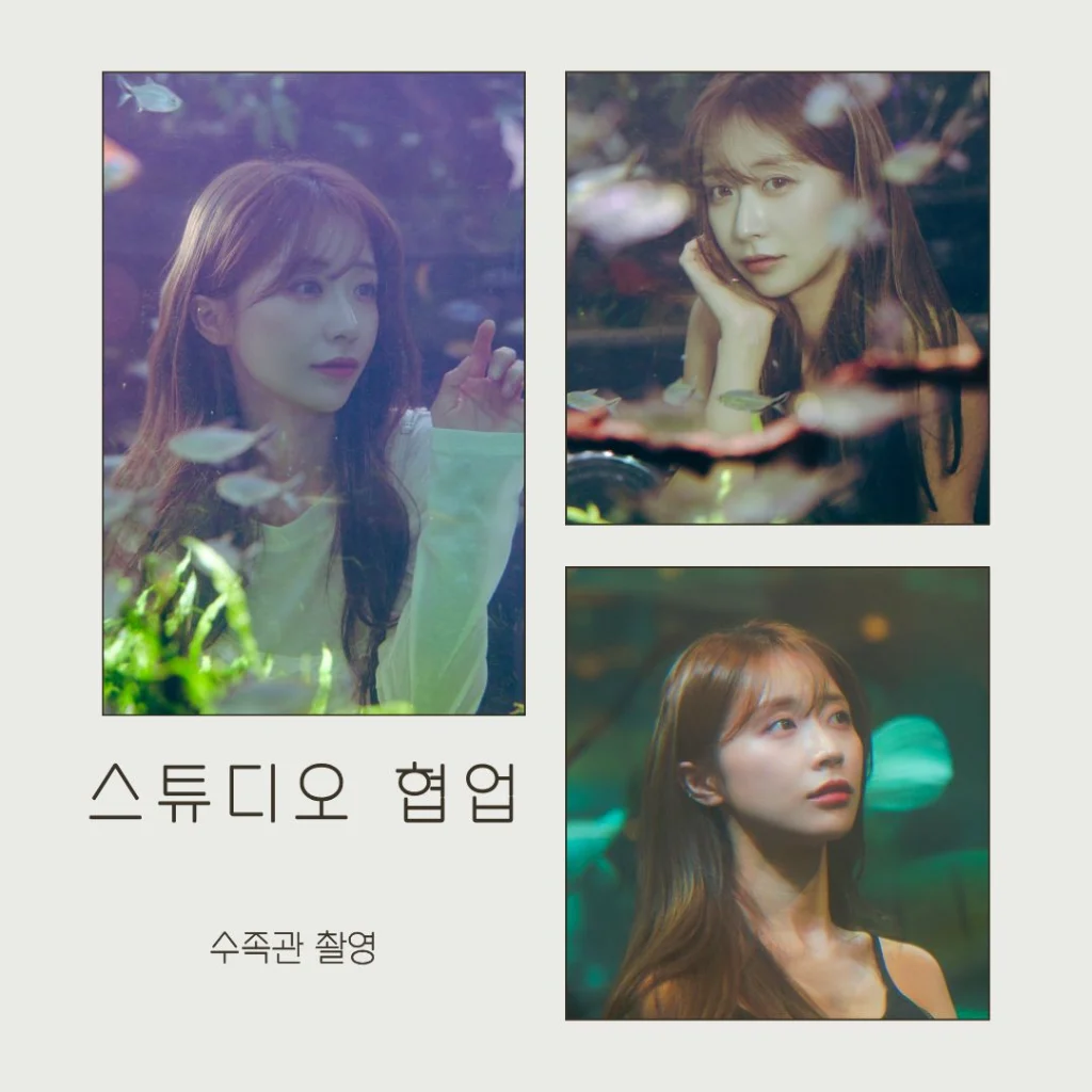 이미지 10