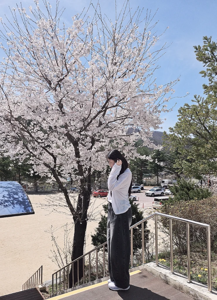 이미지 2