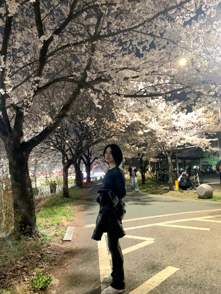이미지 4
