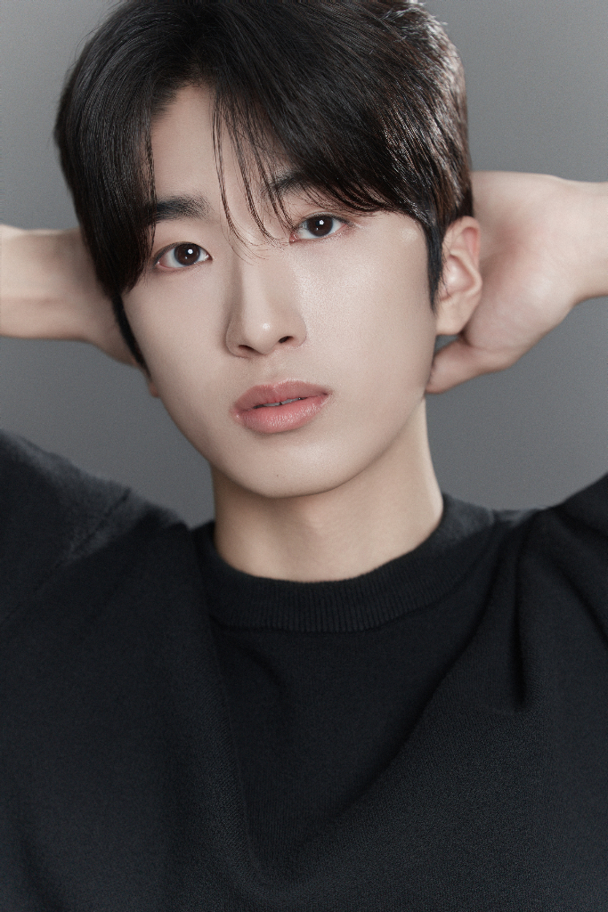 이미지 5