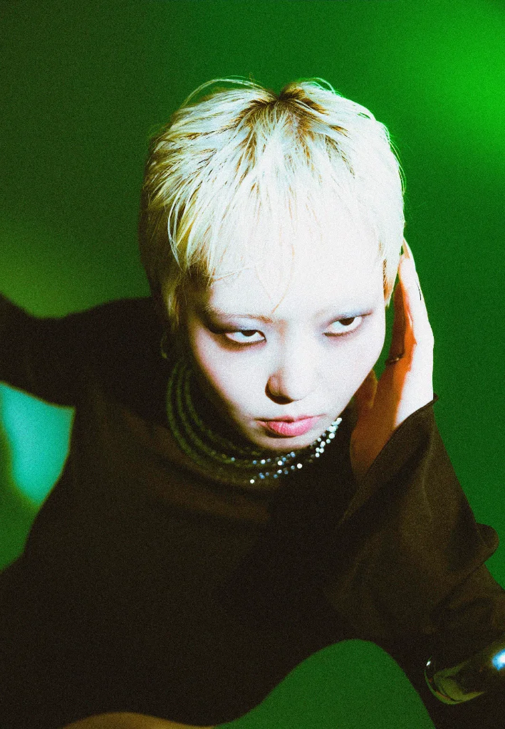 이미지 5