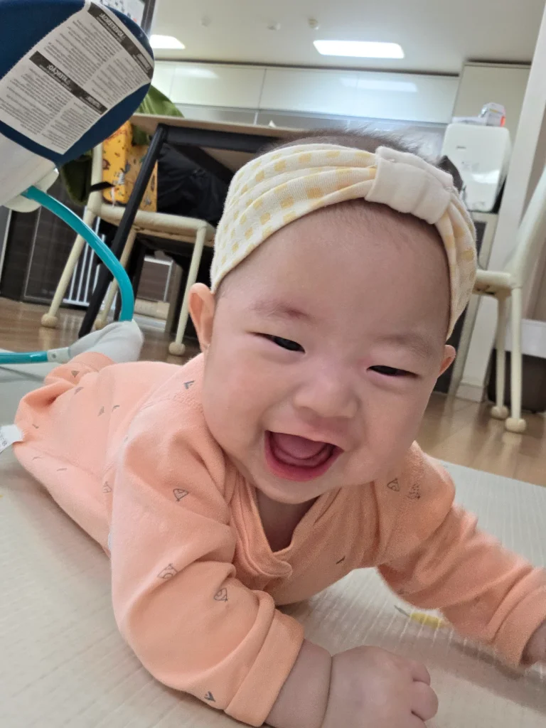 이미지 7