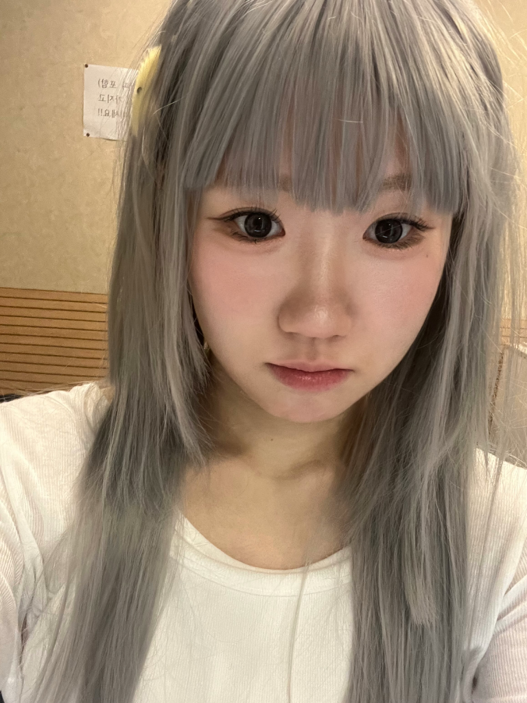 이미지 17