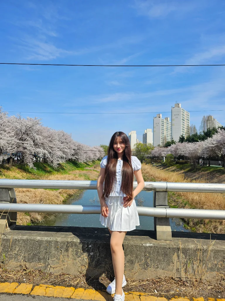 이미지 12