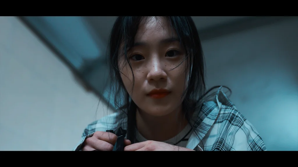 이미지 13