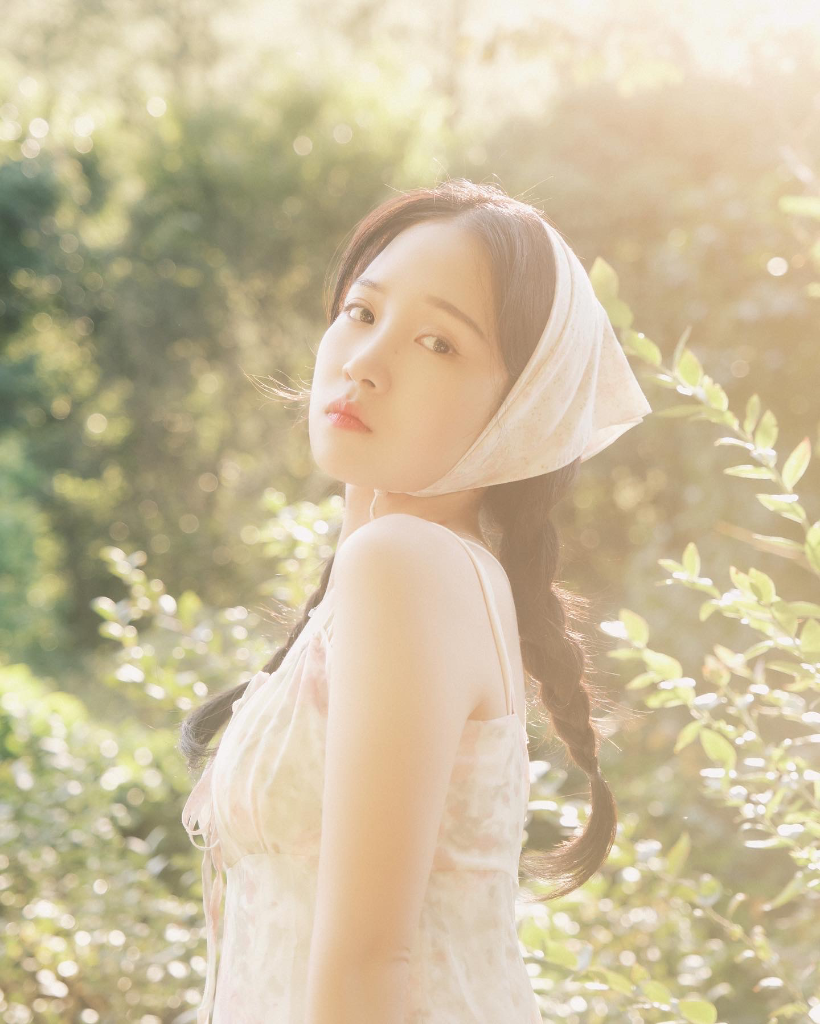 이미지 5