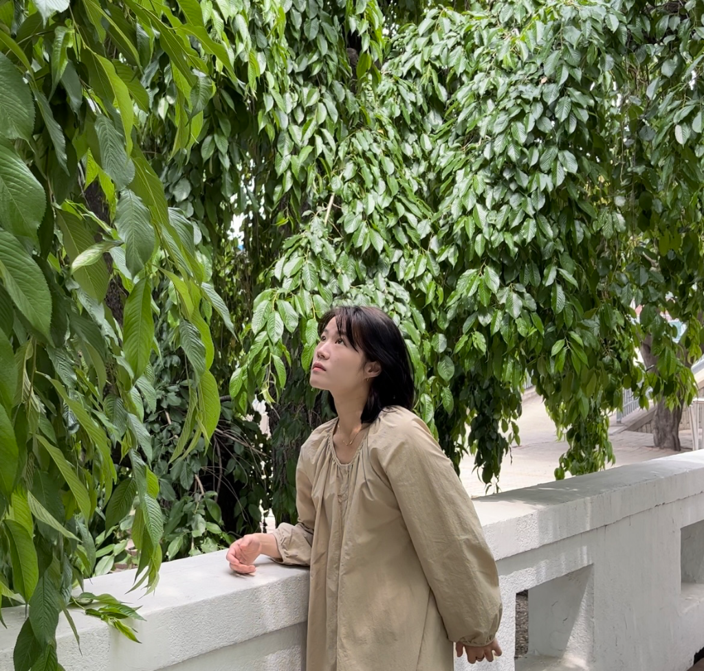이미지 11