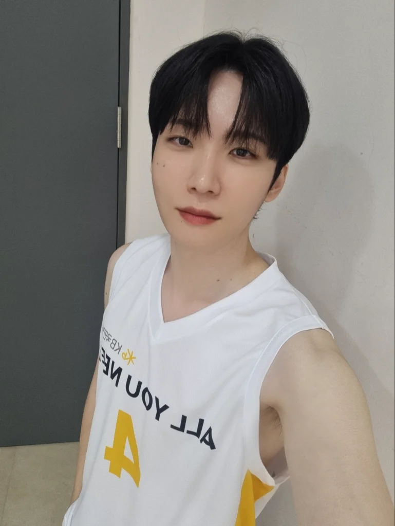 이미지 5