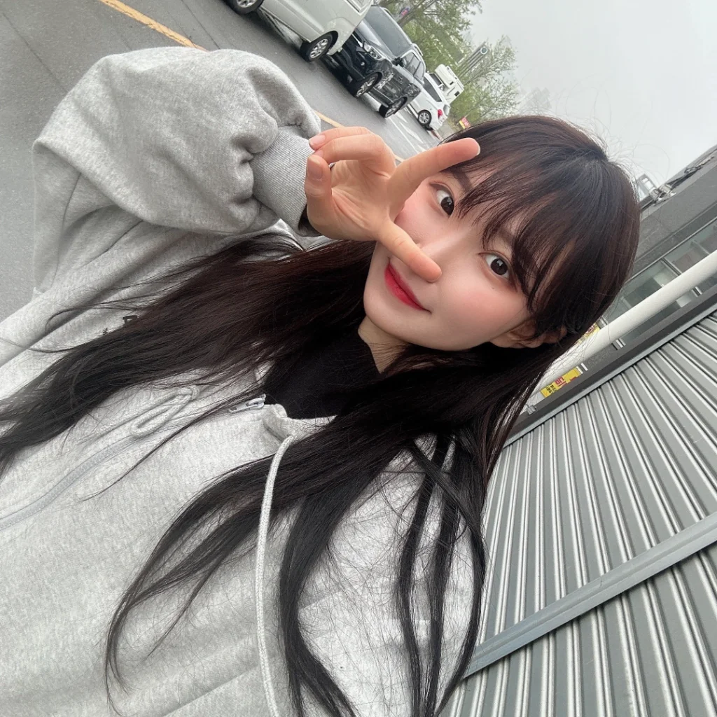 이미지 5