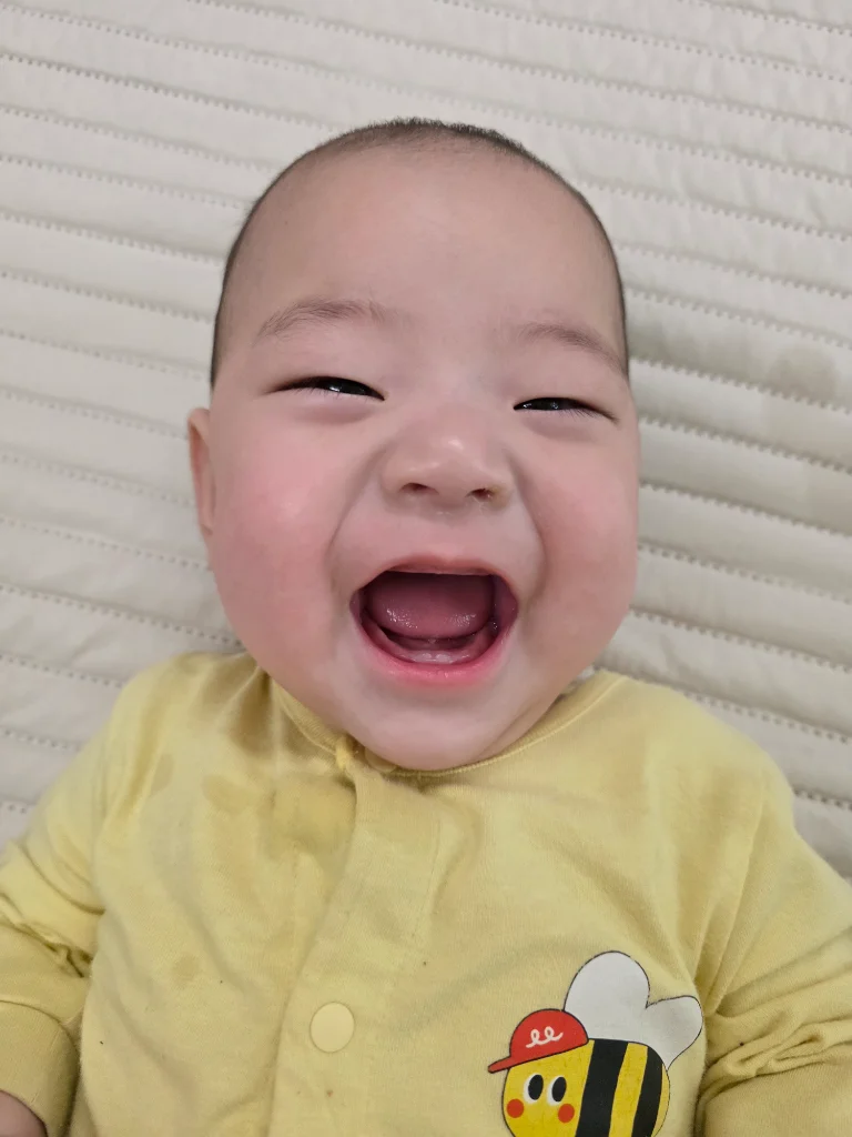이미지 6