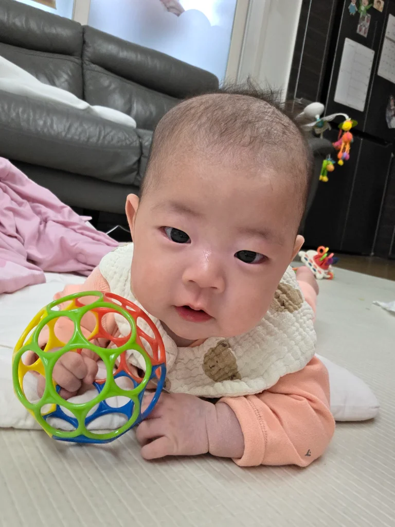 이미지 8