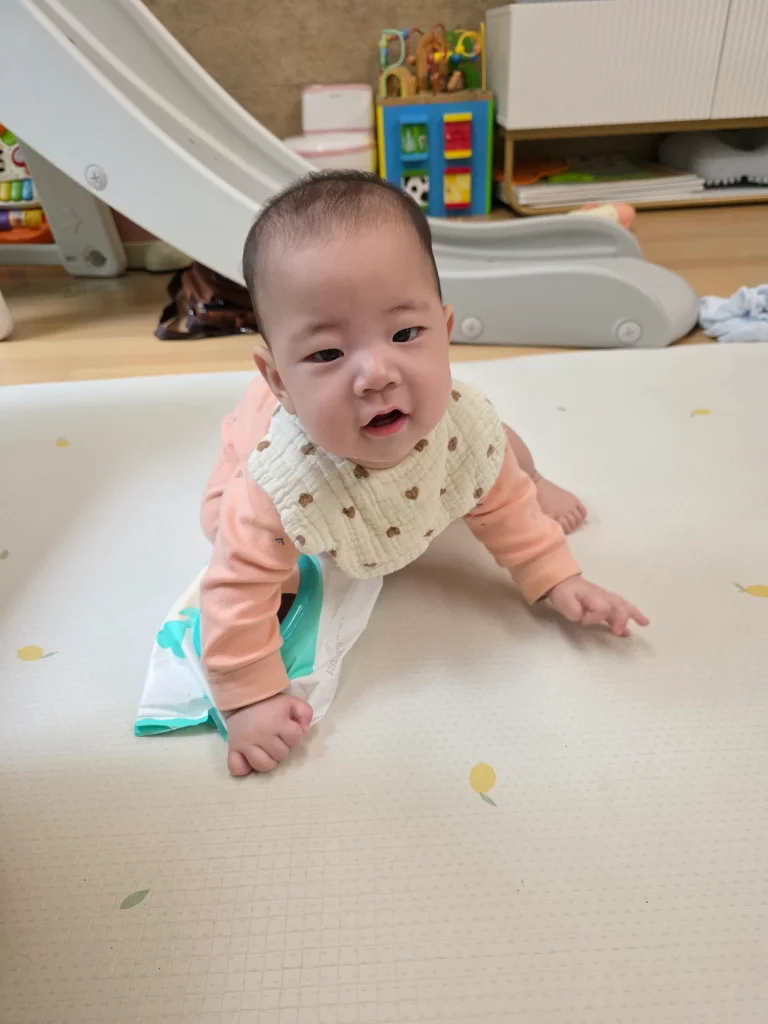 이미지 2