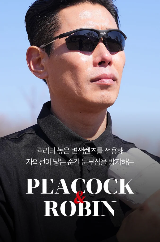 이미지 7