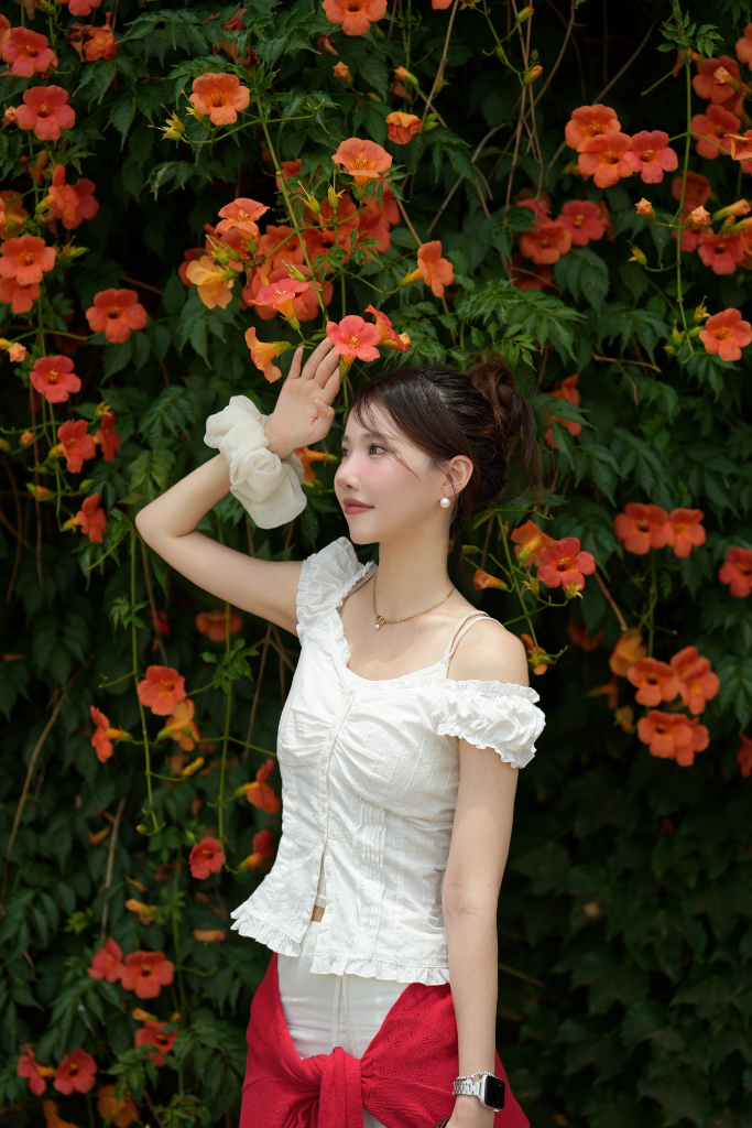 이미지 5