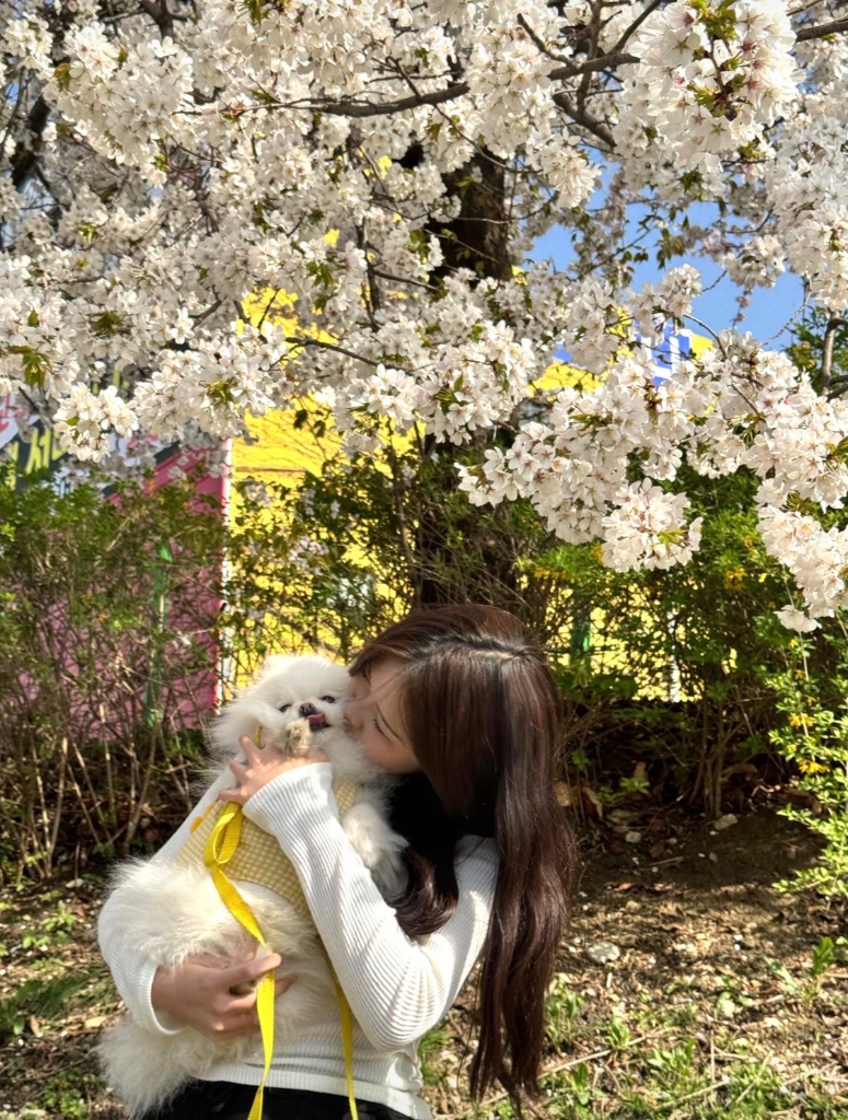 이미지 3
