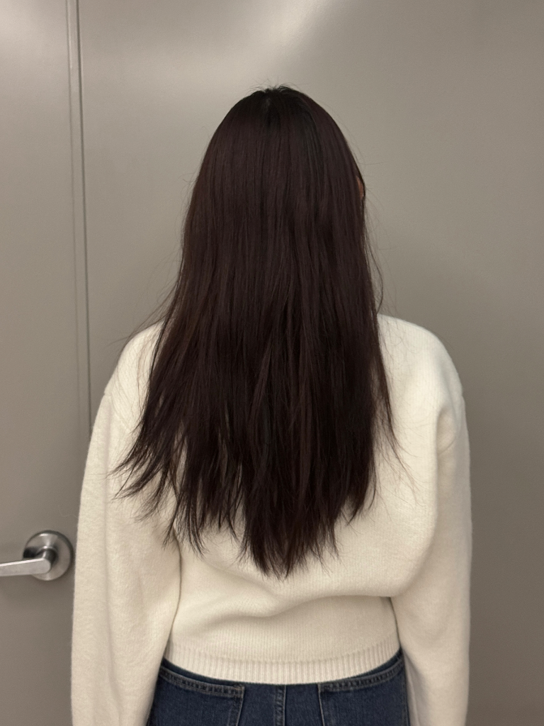 이미지 5