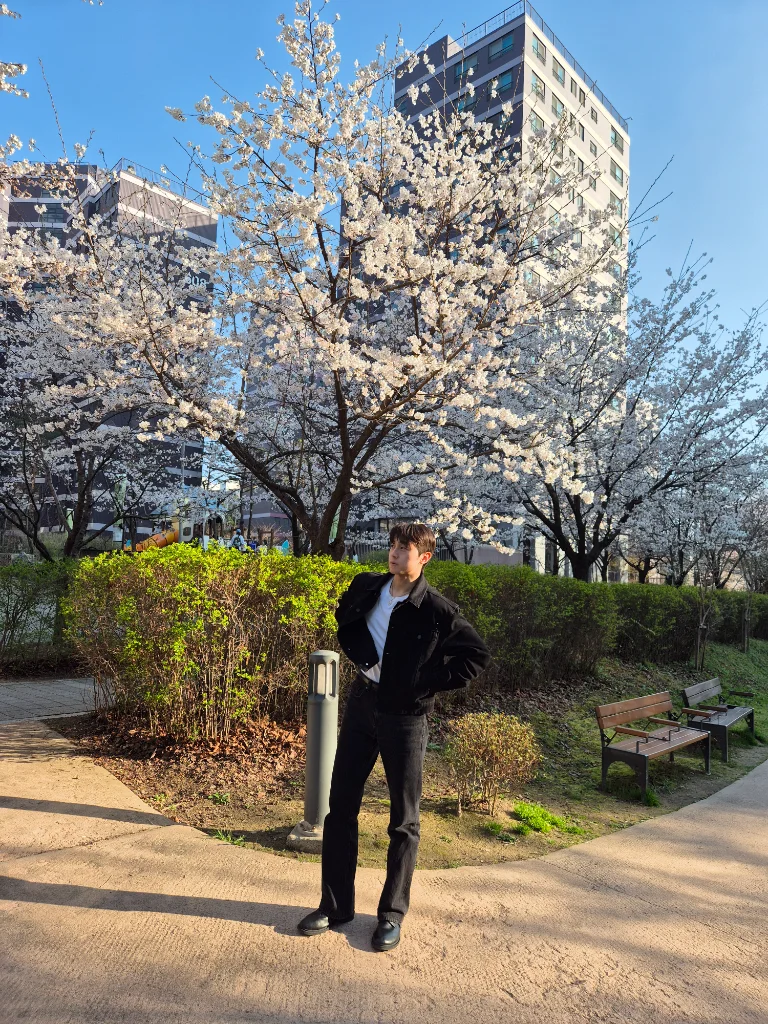 이미지 15