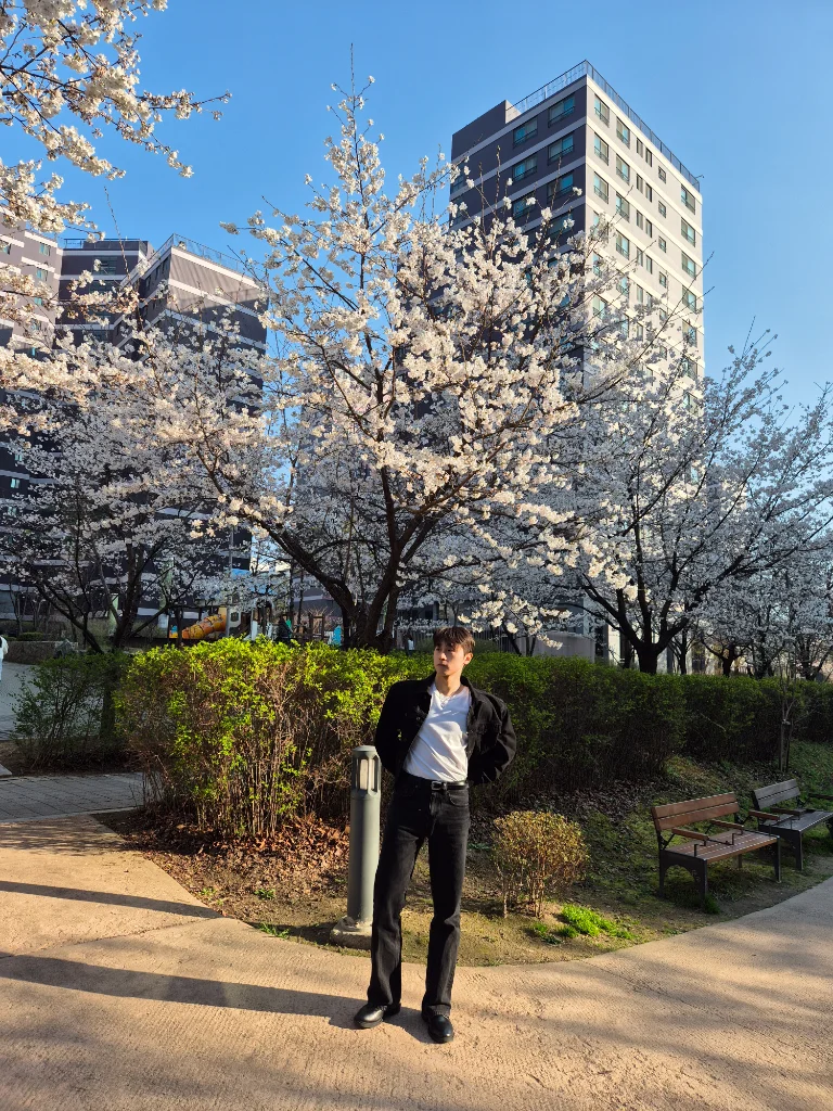 이미지 14